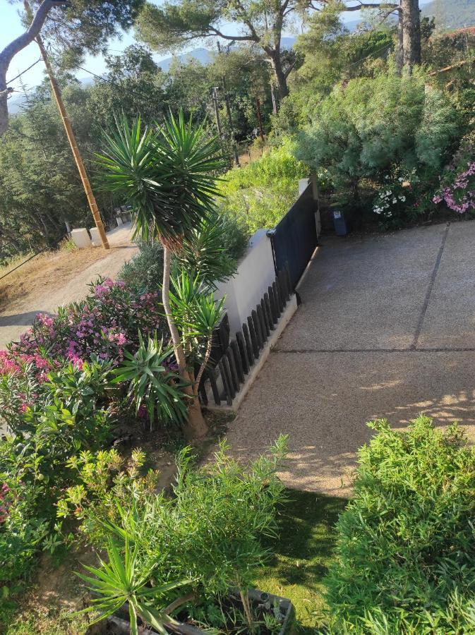 Studio Villa Le M Six-Fours-les-Plages Exterior photo