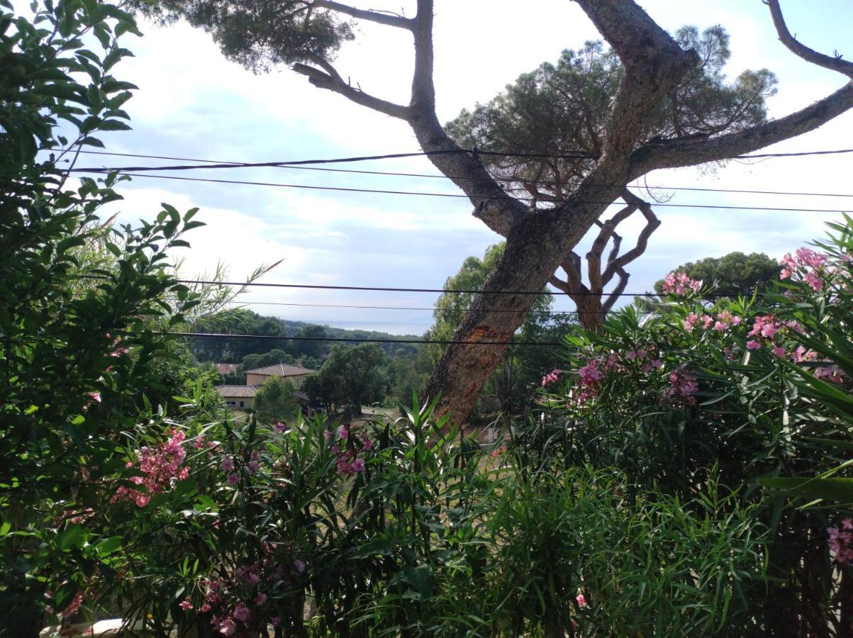 Studio Villa Le M Six-Fours-les-Plages Exterior photo